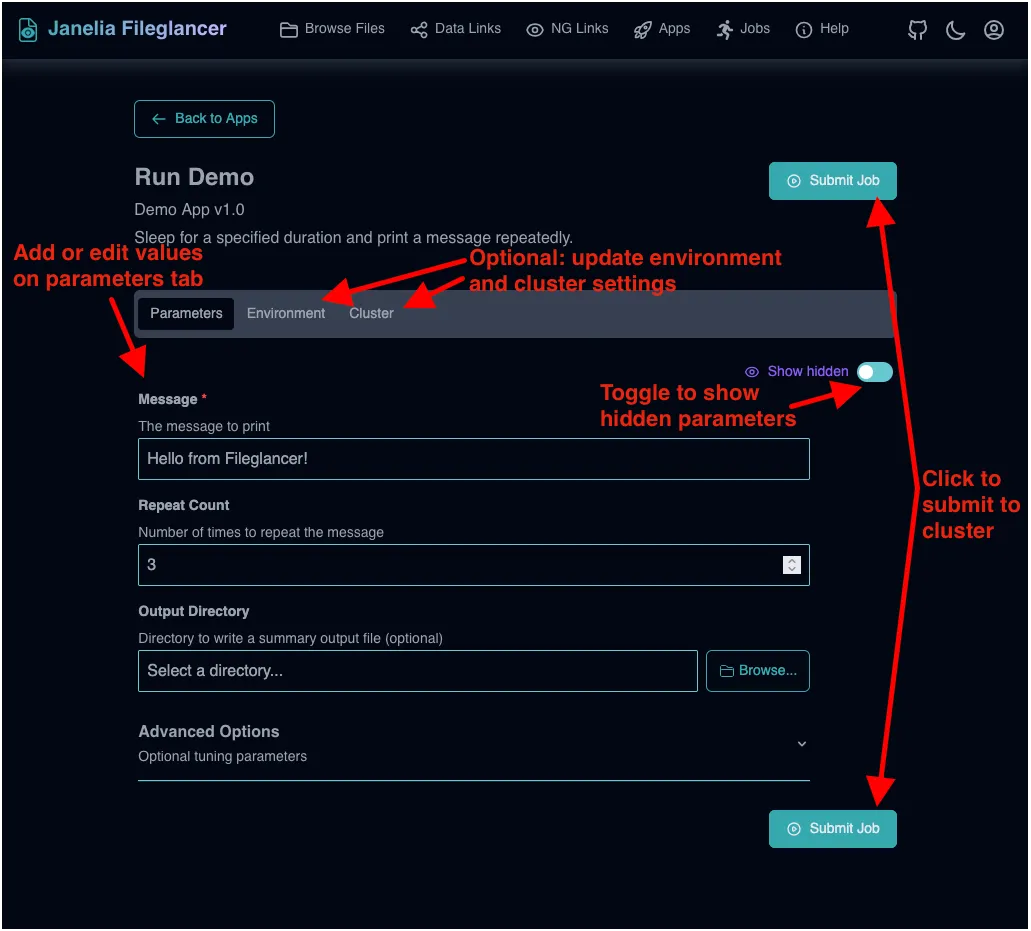 The app launch form with tabs at the top showing parameters on the left and Resources and Environment to the right. A submit button is at both the top and bottom right.