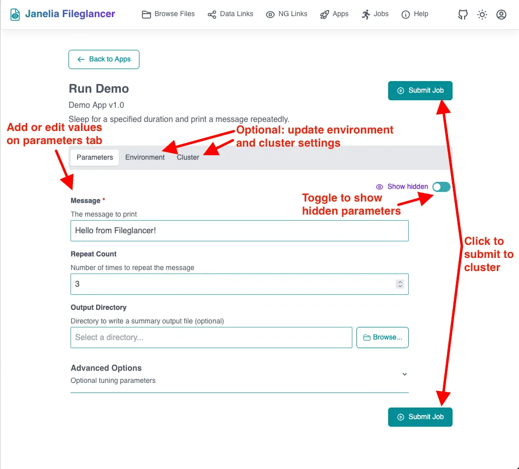 The app launch form with tabs at the top showing parameters on the left and Resources and Environment to the right. A submit button is at both the top and bottom right.