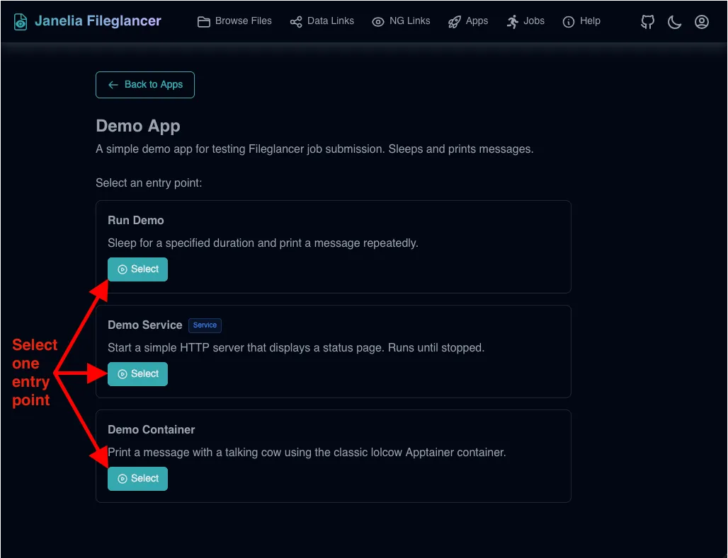 App launch form showing multiple cards to select an entry point defined by the app.