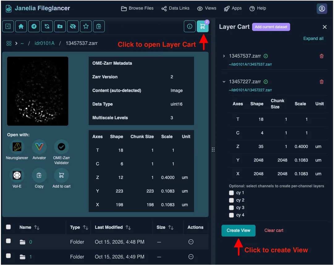 Screenshot of the Fileglancer file browser with an OME-Zarr dataset open. On the right side of the screen, the properties panel is open and displaying the contents of the Layer Cart tab. A red arrow points to the cart icon button that opens the panel to the Layer Cart tab. Another red arrow points to the 'Create View' button at the bottom of the Layer Cart tab that creates a View from the collected datasets.