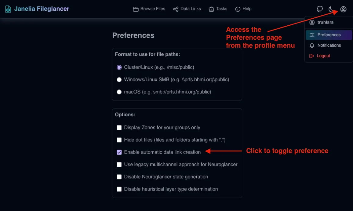 Screenshot of the Fileglancer user preferences page, with one arrow pointing to the profile menu icon in the navigation bar at the top of the interface, and one arrow pointing to the 'Automatic Data Links' section on the Preferences page.