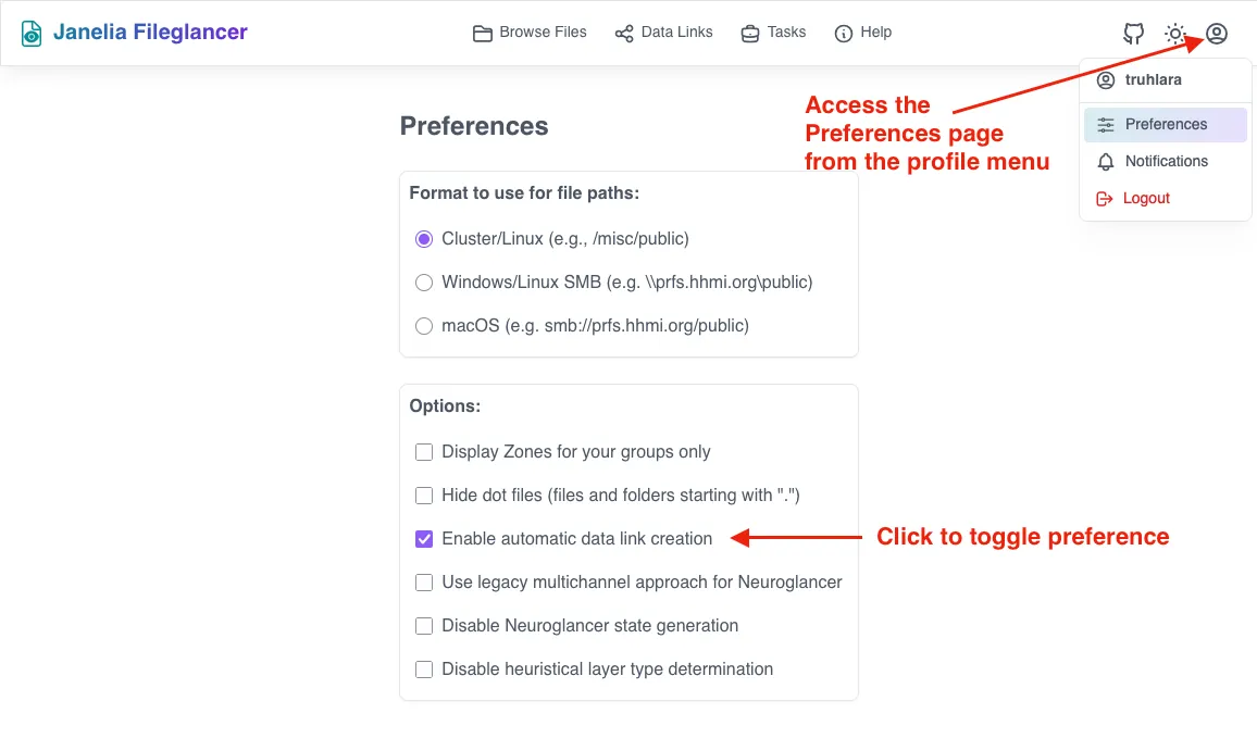 Screenshot of the Fileglancer user preferences page, with one arrow pointing to the profile menu icon in the navigation bar at the top of the interface, and one arrow pointing to the 'Automatic Data Links' section on the Preferences page.
