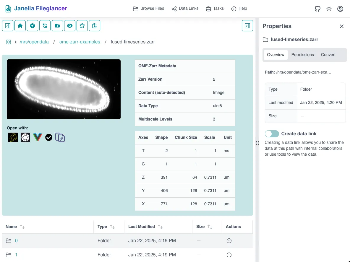 Screenshot of the Zarr preview panel in Fileglancer, showing metadata fields and the 'Open with' buttons for compatible viewers.