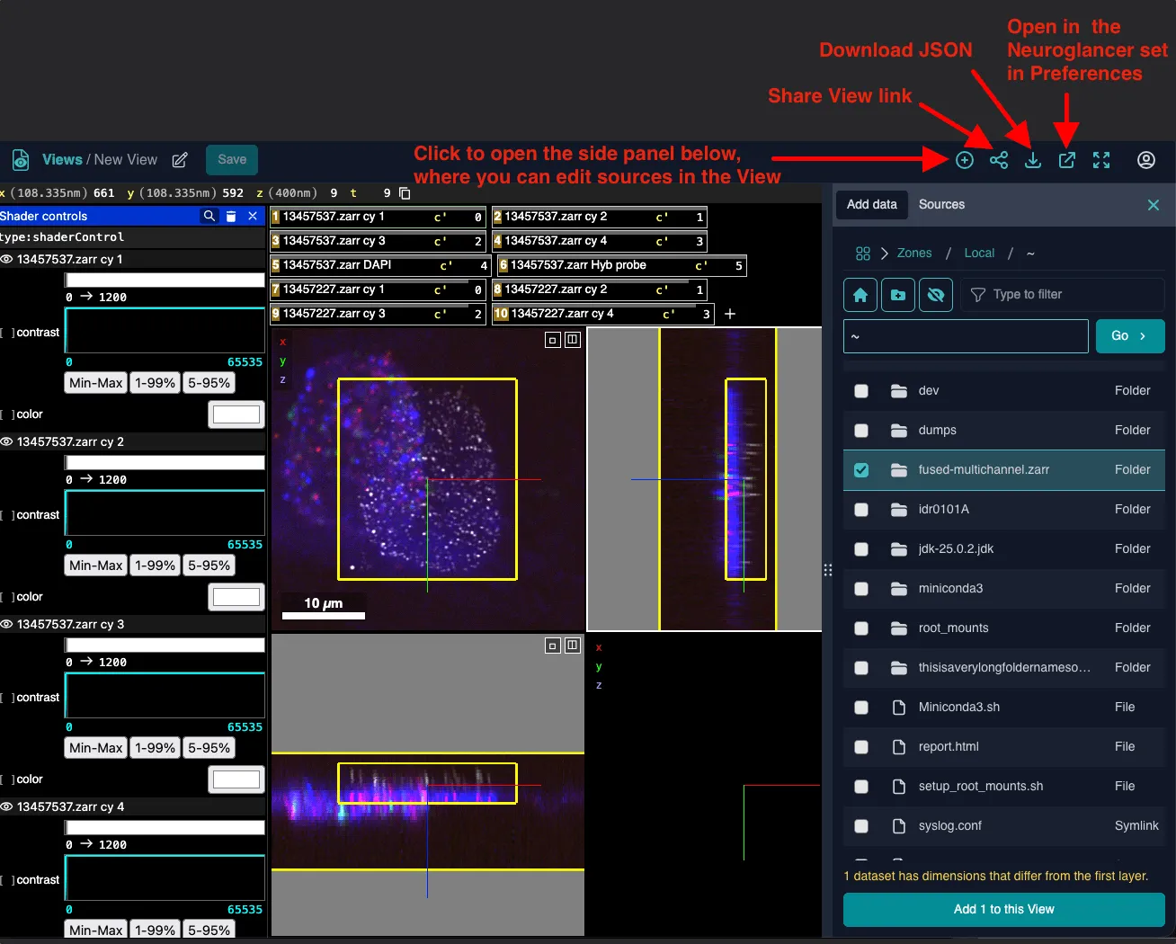 Screenshot of the embedded Neuroglancer in Fileglancer. At the top of the screen, on the right side, are the toolbar buttons to add data, copy the View link, download the Neuroglancer JSON, open the data in the Neuroglancer configured in Preferences, and make the embedded Neuroglancer fullscreen.