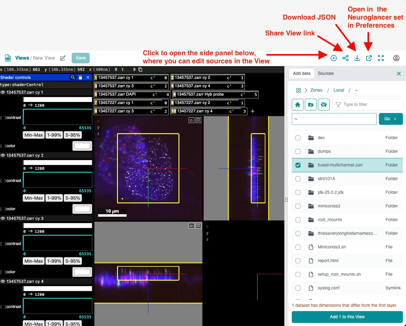 Screenshot of the embedded Neuroglancer in Fileglancer. At the top of the screen, on the right side, are the toolbar buttons to add data, copy the View link, download the Neuroglancer JSON, open the data in the Neuroglancer configured in Preferences, and make the embedded Neuroglancer fullscreen.
