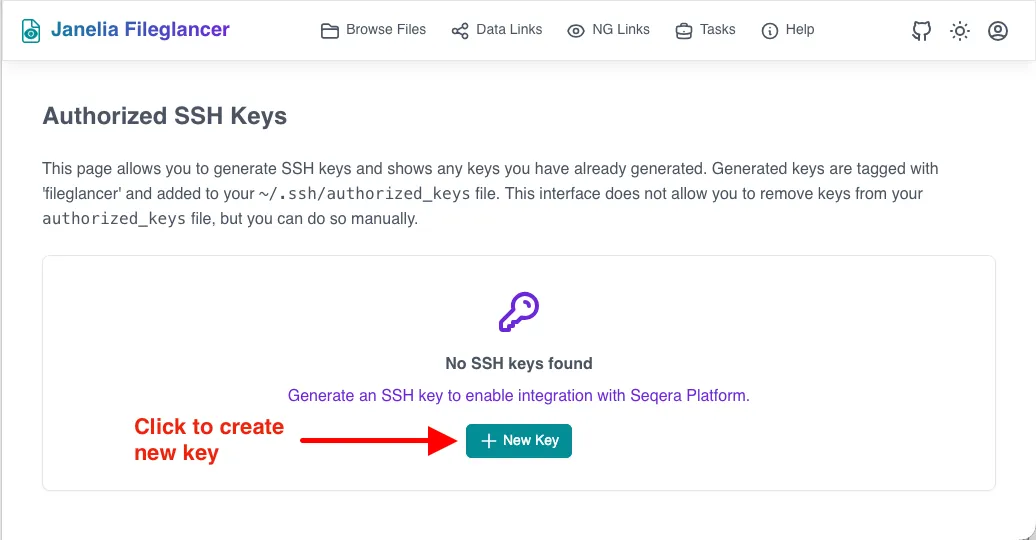 SSH Keys page showing 'No SSH keys found' and a '+ New Key' button.