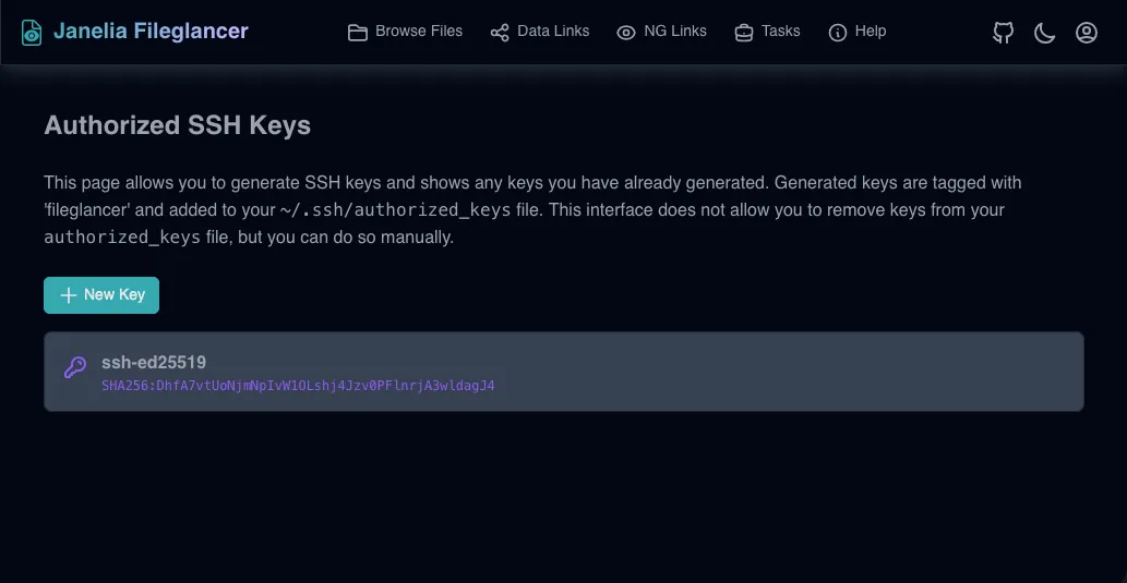 SSH Keys page showing a listed key with its type (ssh-ed25519) and SHA256 fingerprint.