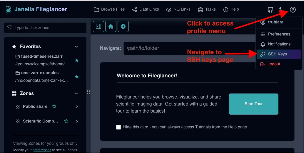 Fileglancer profile menu open in the upper-right corner, with 'SSH Keys' highlighted.